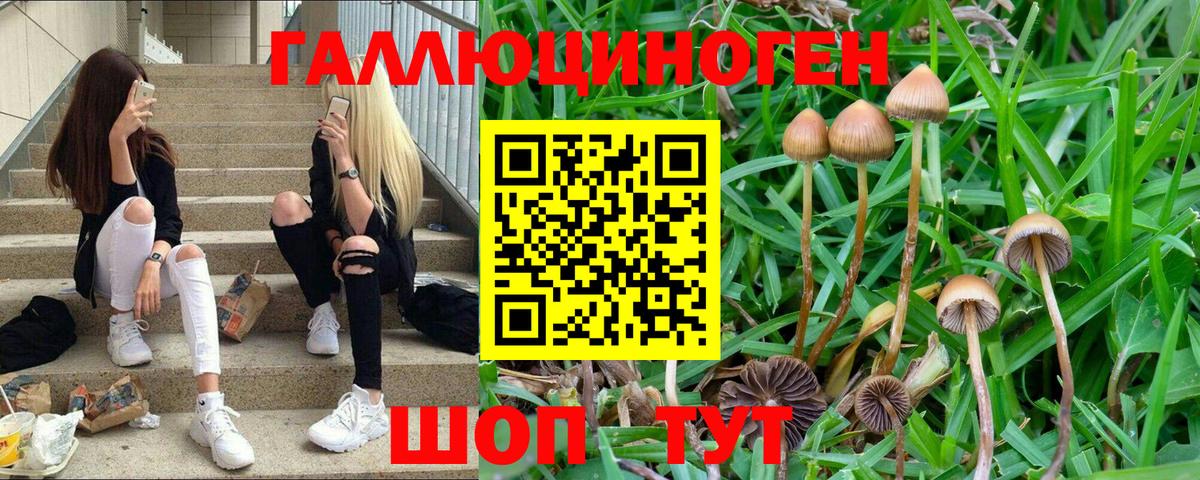 Шарыпово  Галлюциногенные грибы GOLDEN TEACHER  Вход с VPN 