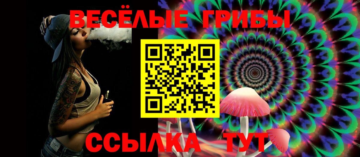 Псилоцибиновые грибы Cubensis Шарыпово